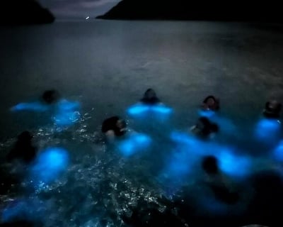 La Parguera Bioluminescent Bay Cruise