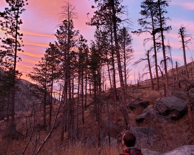 Private Chasm Lake Hike in Rocky Mountain National Park