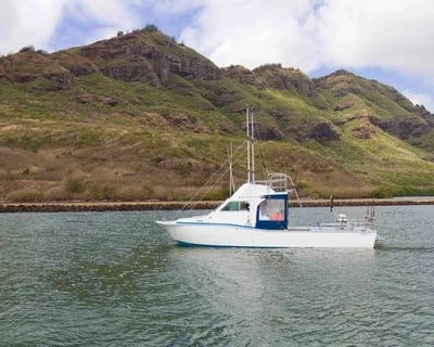 Kauai Deep Sea Fishing Charter