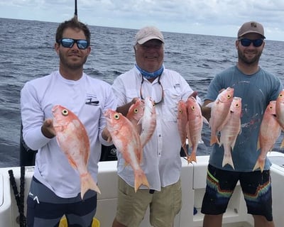 North Miami Kite Fishing Charter