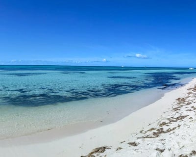 Explore a Private Key West Sandbar Charter