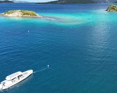 Boat Cruise Around St. John With Lime Out Taco Stop
