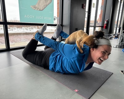 Puppy Yoga Experience in South Barrington
