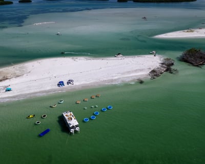Shell Key Dolphin Watching & Float Cruise From St. Pete
