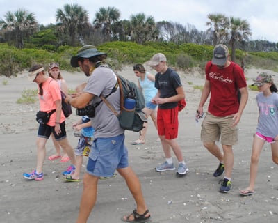 Hunt For Fossils On A Guided Morris Island Hike