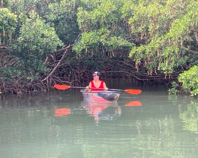 3-Hour Kayak & Paddleboard Rental at John's Pass