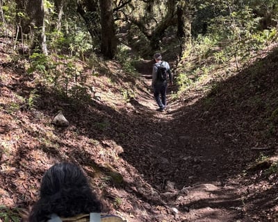 Sierra Juárez Hot Chocolate Hike From Oaxaca