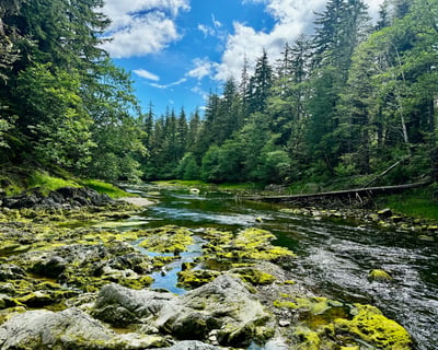 Guided Remote Stream Fishing in Hoonah