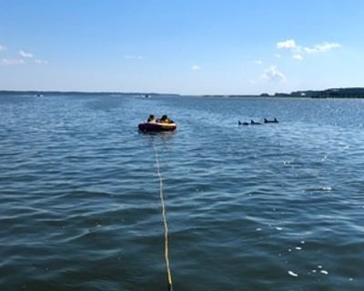 Tubing and Dolphin Tour in Hilton Head