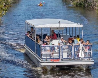 Everglades Backcountry Boat Tour
