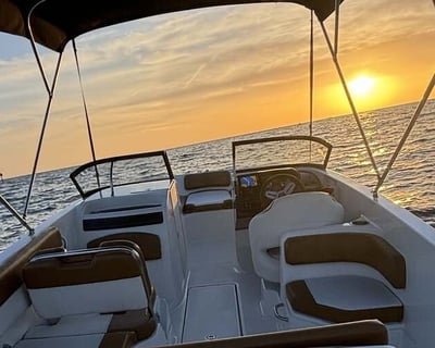 Cruise to Shell Key on a Private Dolphin Tour From St. Pete