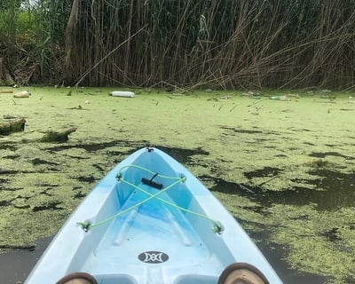 Single Kayak Rental in Port Clinton