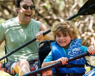Private Mangrove Tunnel Kayak Tour in Sarasota