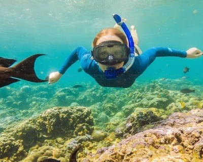 Small-Group Kona Snorkeling Tour