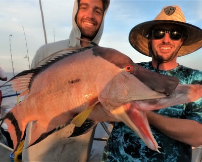 Fish on a 10-Hour Deep Sea Trip From Madeira Beach