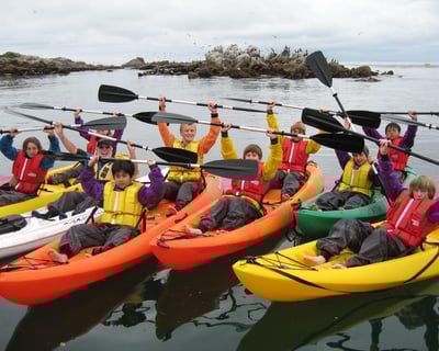 Paddle Monterey Bay's Kelp Forests & Sea Life