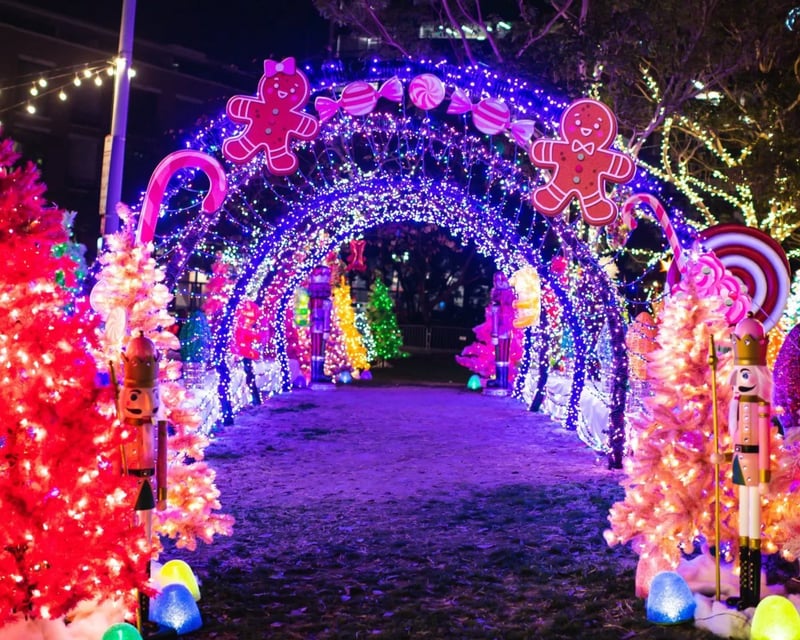 Christmas Lights Tour from San Diego to Christmas Card Lane