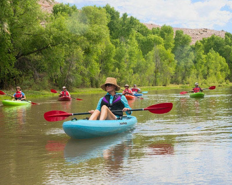 2.5-Hour Guided Kayak Tour on the Verde River