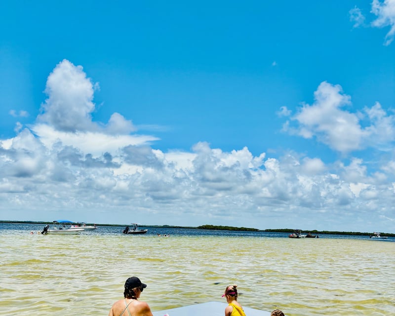 Crystal River Sandbar & Island Boat Trip with Water Mat