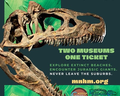 Guided Dinosaur Ridge & Museum Tour in Morrison