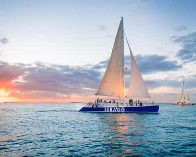 Watch Dolphins on a Key West Sunset Sail