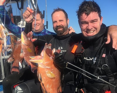 2-Tank Spearfishing Dive Trip in Clearwater