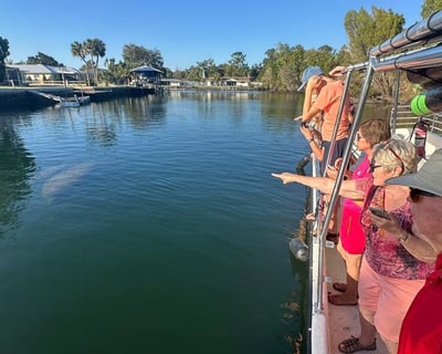 Private Manatee Viewing Cruise in Crystal River