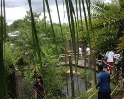 1.5-Hour Guided Reptile Tour in Tampa