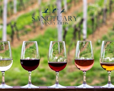 2.5-Hour Wine Tasting & Boat Tour in Duck