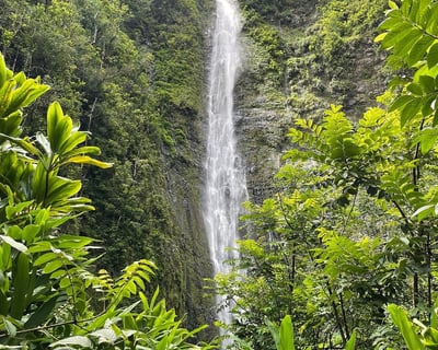 Private Maui’s Sea Turtles, Waterfalls and Taste of Hana Adventure