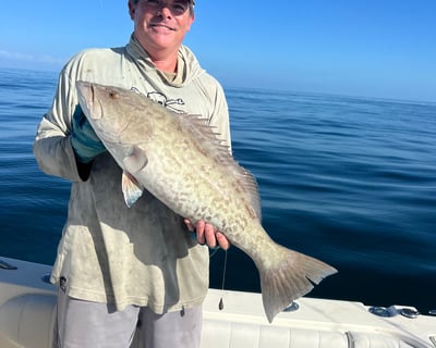 8-Hour Guided Fishing Charter in Fort Myers