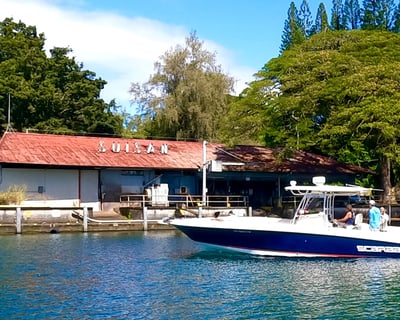 Hilo Humpback Whale Watching Boat Tour