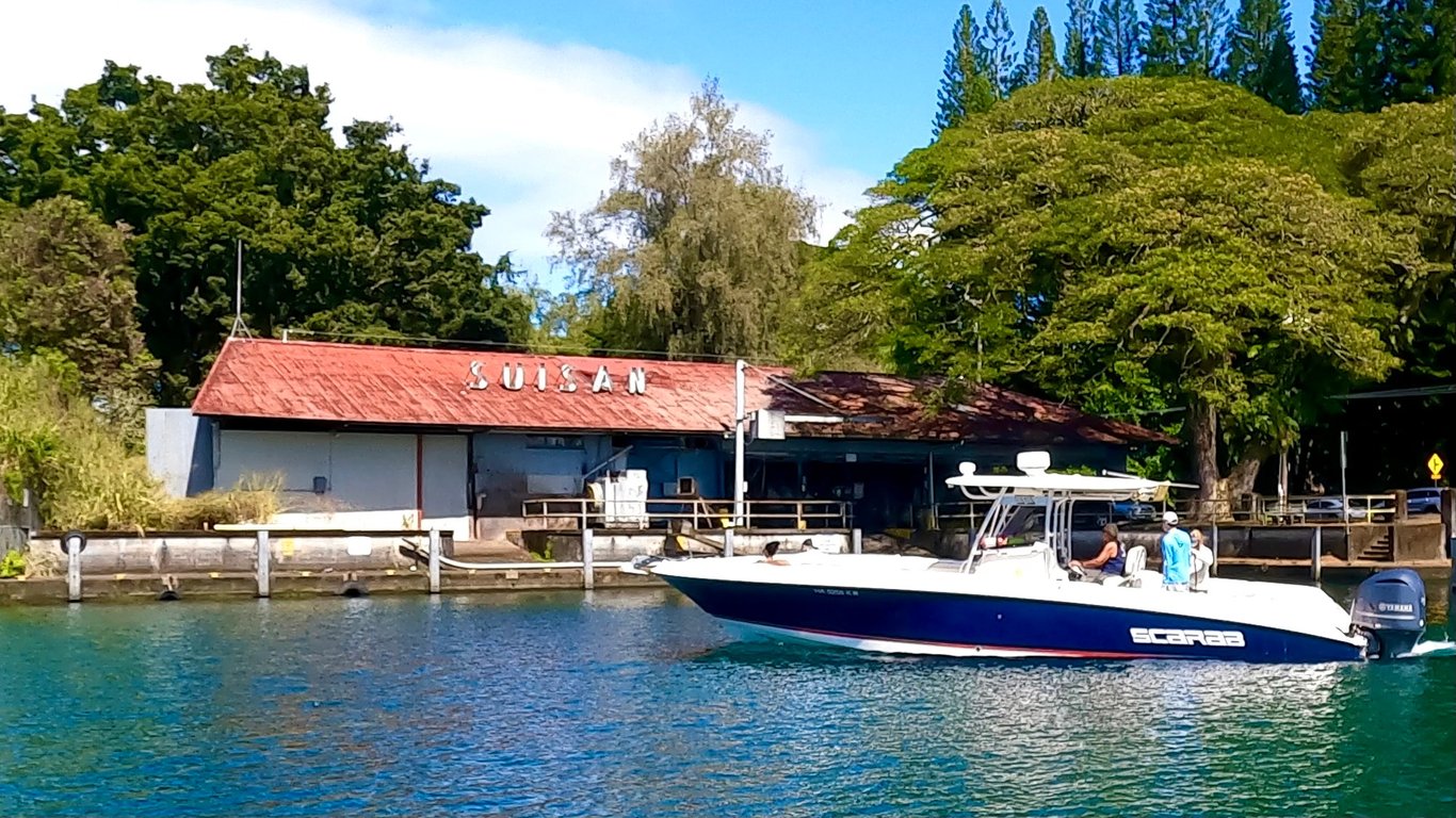 Royal Humpback Whale Experience