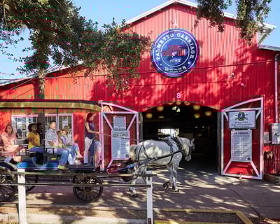 Historic Charleston Carriage Tour