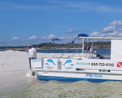 Private or Semi-Private Powerboat Dolphin Cruise with Beach Stop