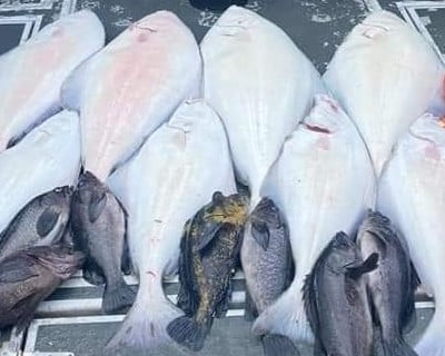 Multi-Species Fishing Charter in Seward
