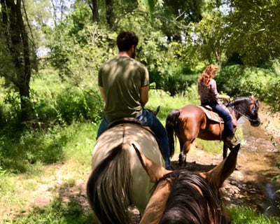 Guided Fox River Horseback Ride in Millbrook