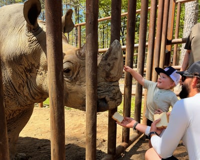Broken Bow Wildlife Safari with Animal Encounters