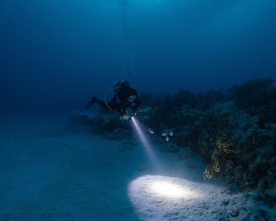 Explore West Oahu on a 2-Tank Scuba Diving Charter