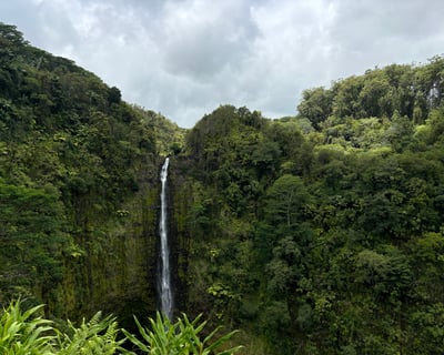 ʻAkaka Falls & Sea Turtle Lagoon Snorkel Tour