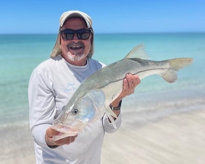 Guided Beach Fishing Trip in Sarasota