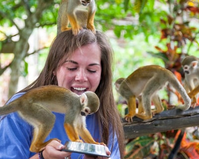 Monkeyland Squirrel Monkey Guided Tour
