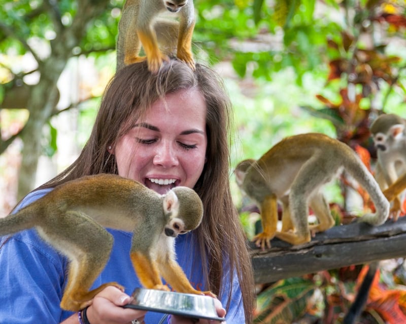 Monkeyland Squirrel Monkey Guided Tour