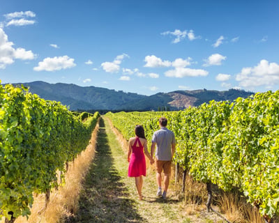 Tour Muir Woods & Napa-Sonoma Wineries From San Francisco