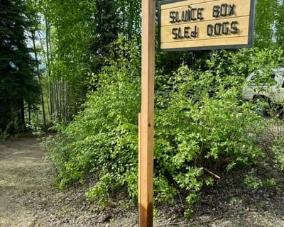 Fairbanks Forest Hike & Husky Kennel Visit
