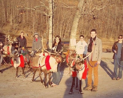Guided Reindeer Farm Tour in Palmer