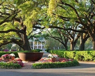 Oak Alley Plantation Tour From New Orleans