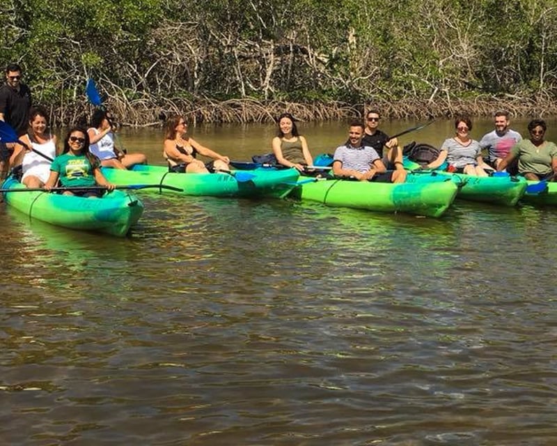 2-Hour Guided Kayak & Paddleboard Tour in Naples