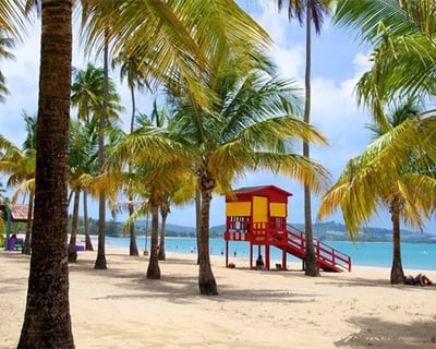 El Yunque & Luquillo Beach Guided Tour