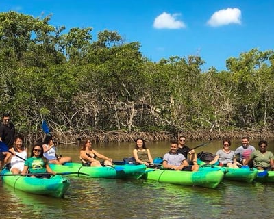 4-Hour Kayak & Paddleboard Rental in Naples